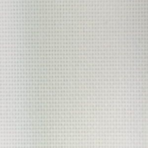White White